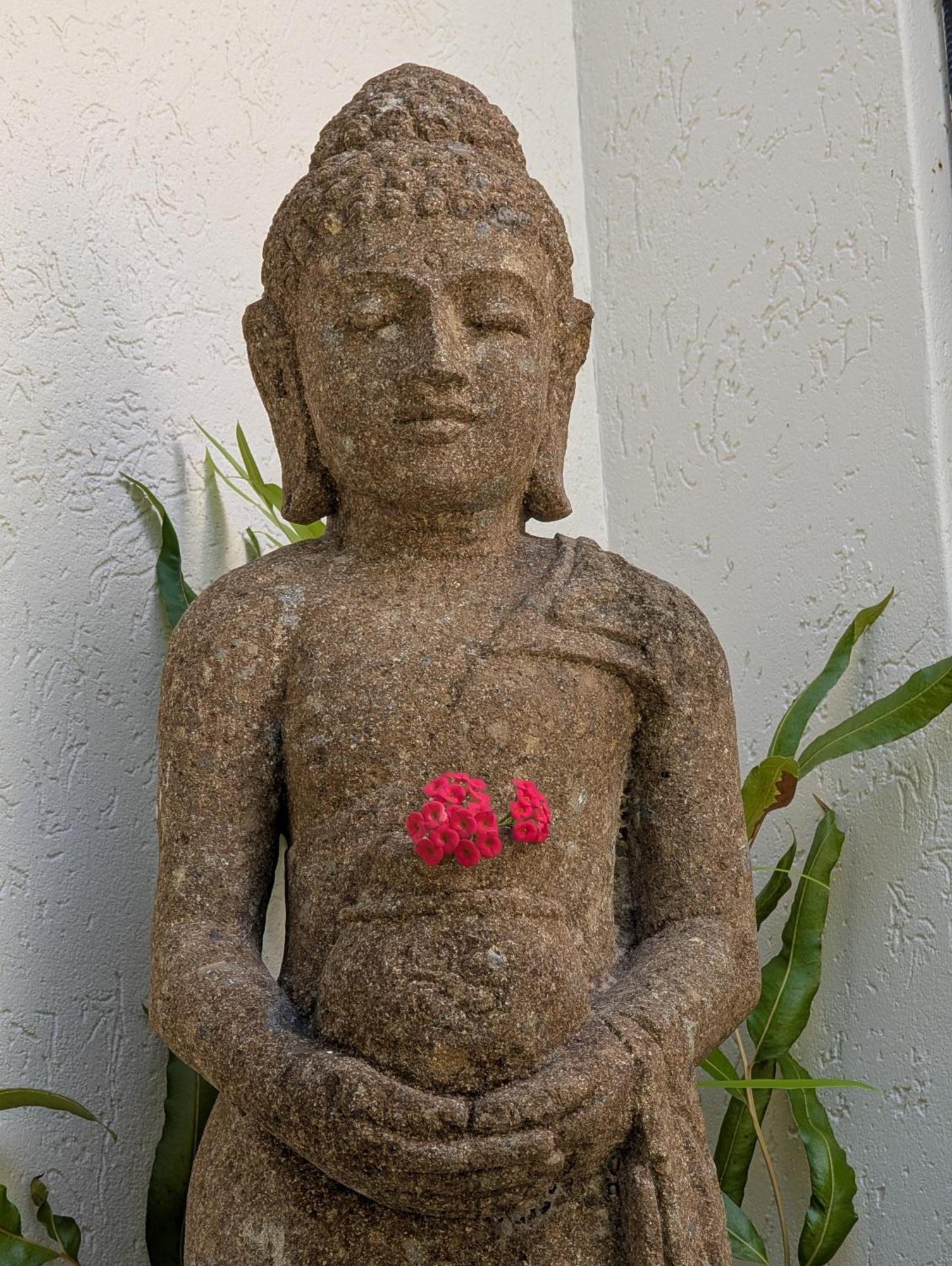 The Villas Palm Cove Room photo
